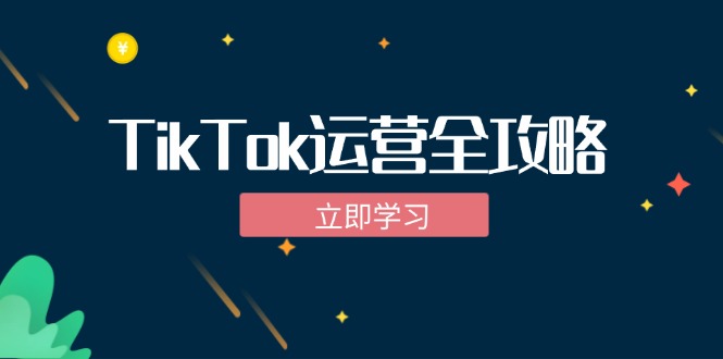 TikTok实战运营全攻略：从下载软件到变现，抖音海外版实操教程-梦凌网创