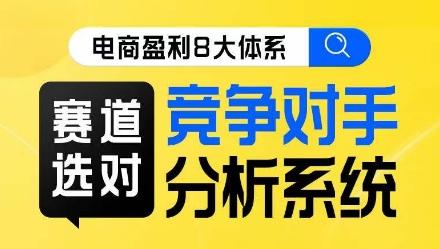 电商盈利8大体系·赛道选对，​竞争对手分析系统线上课-梦凌网创
