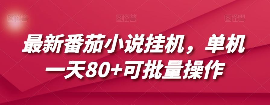 最新番茄小说挂机，单机一天80+可批量操作【揭秘】-梦凌网创