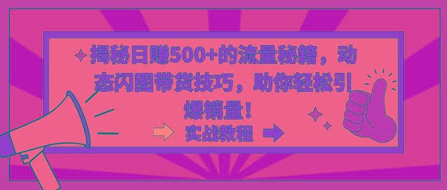 揭秘日赚500+的流量秘籍，动态闪图带货技巧，助你轻松引爆销量！-梦凌网创