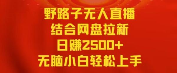 野路子无人直播结合网盘拉新，日赚2500+，小白无脑轻松上手【揭秘】-梦凌网创